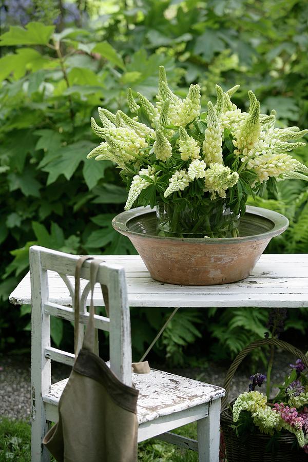 Bouquet Of White Lupin In Ceramic Bowl On White Wooden Table Next To Chair In Garden Photograph by Pauline Joosten