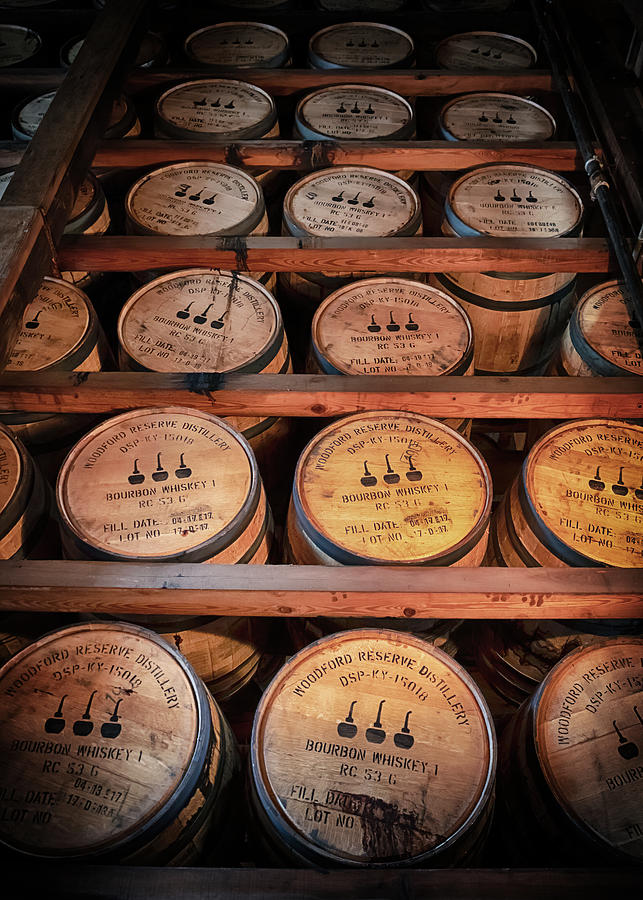 Bourbon Barrels in the Rick Photograph by Susan Rissi Tregoning