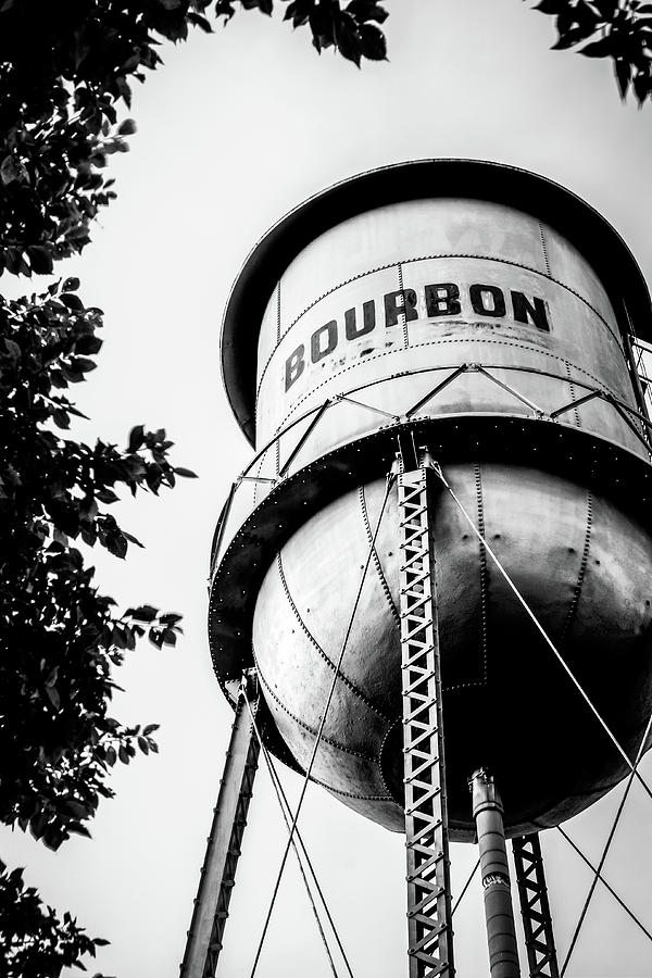 Bourbon Water Tower Framed By Foliage - Monochrome Edition Photograph