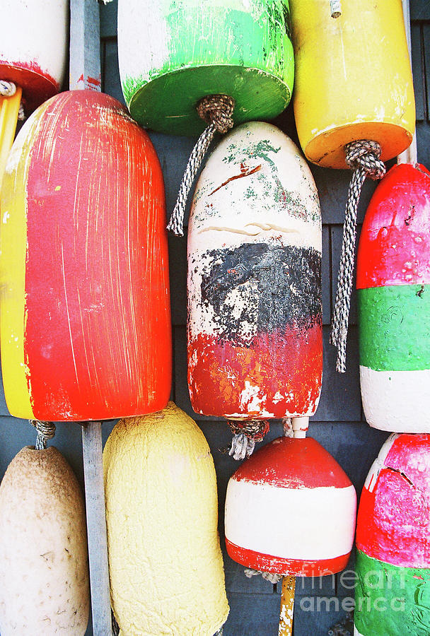Bouys Photograph by Sharon Williams Eng