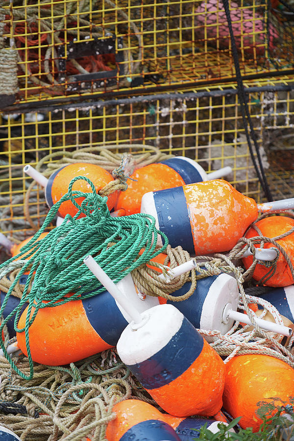 Bouys and Traps Photograph by Paul Freidlund