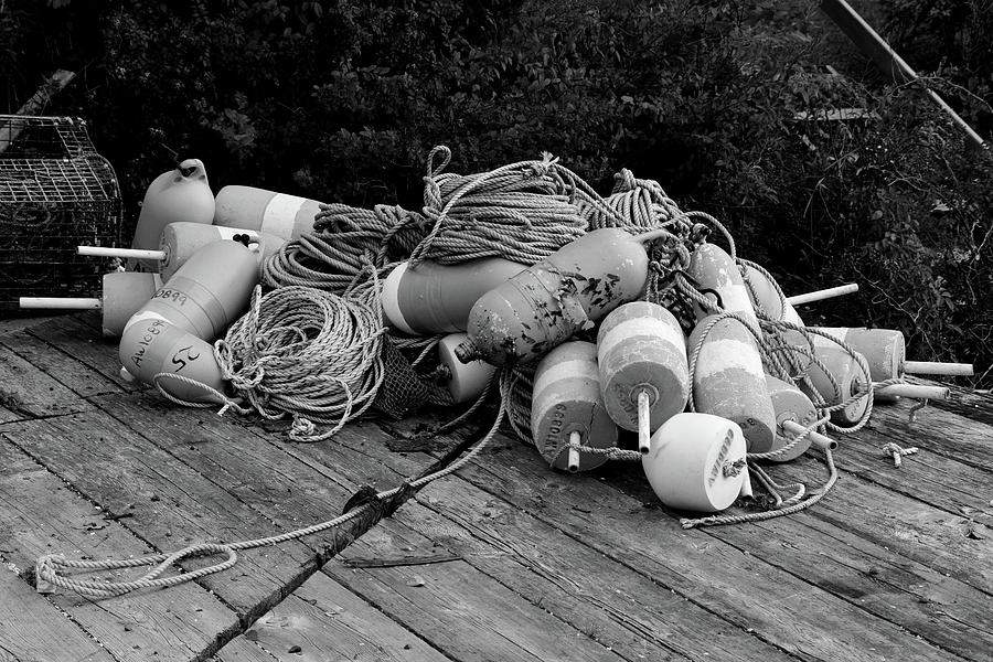 Bouys on the Dock Photograph by Mike Martin