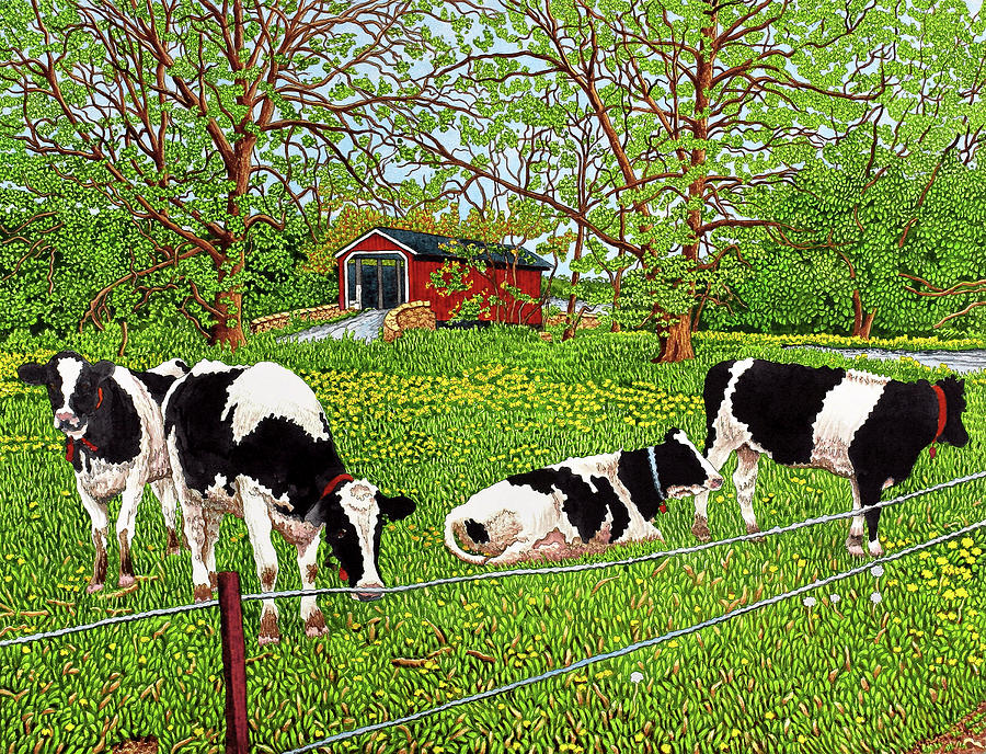 Bovine Beauties, Pennsylvania Painting by Thelma Winter - Fine Art America