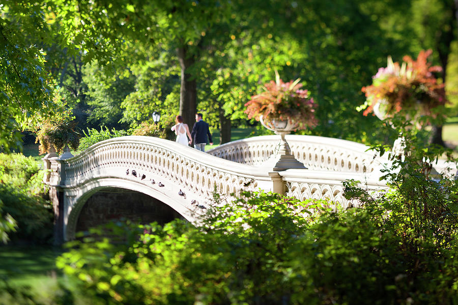 Bow Bridge At Central Park, Nyc Digital Art by Massimo Ripani