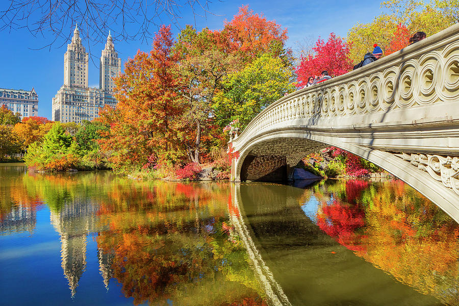 Bow Bridge At Central Park, Nyc Digital Art by Pietro Canali