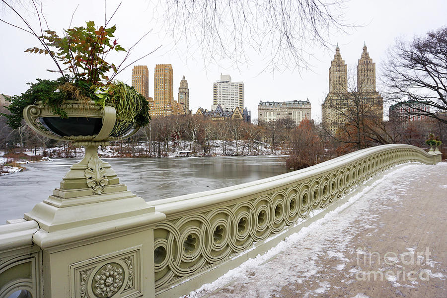 Bow Bridge, Central Park, Manhattan Photo Photograph by European School