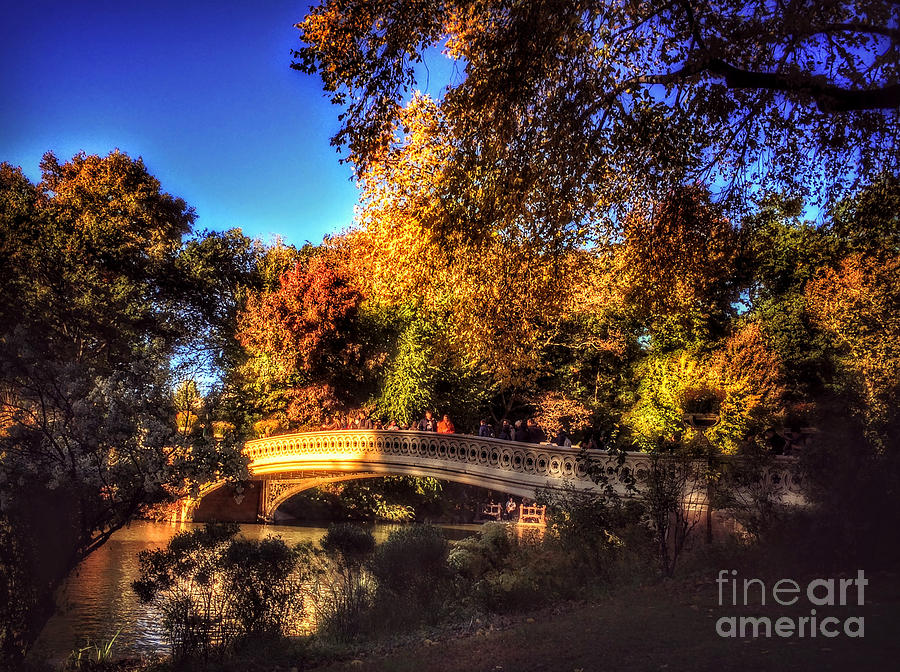 Bow Bridge - Central Park New York In Autumn Photograph