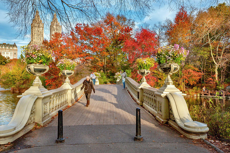 Bow Bridge, Central Park Nyc Digital Art by Claudia Uripos