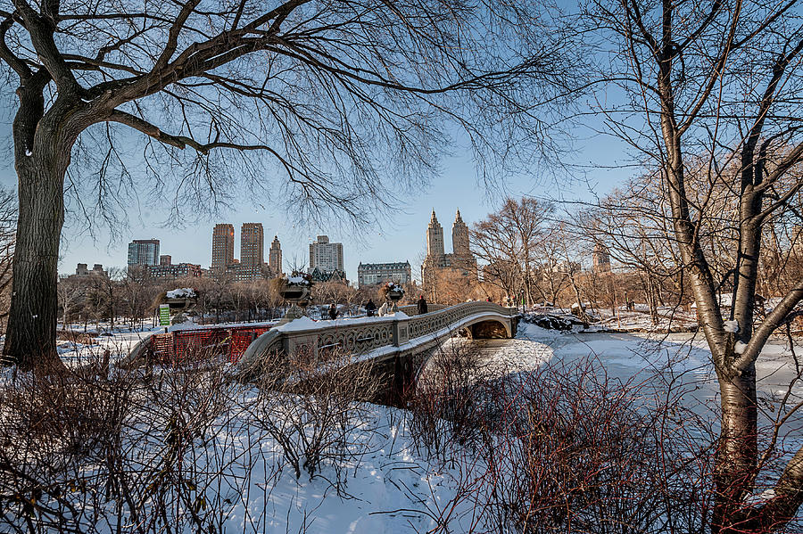 Bow Bridge, Central Park, Nyc Digital Art by Giordano Cipriani