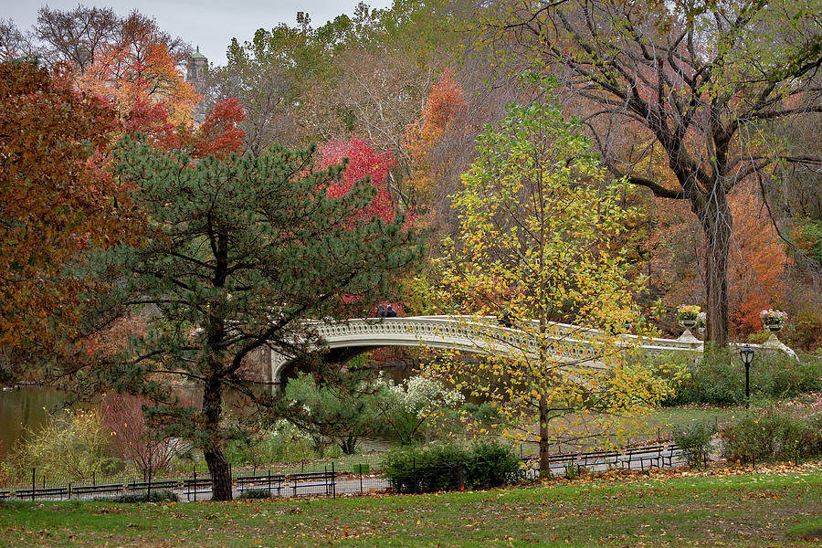 Bow Bridge In Colors Photograph