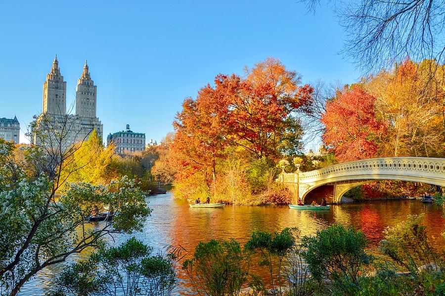 Bow Bridge Photograph by Shannon Kelly Bow Bridge Photograph by Shannon Kelly