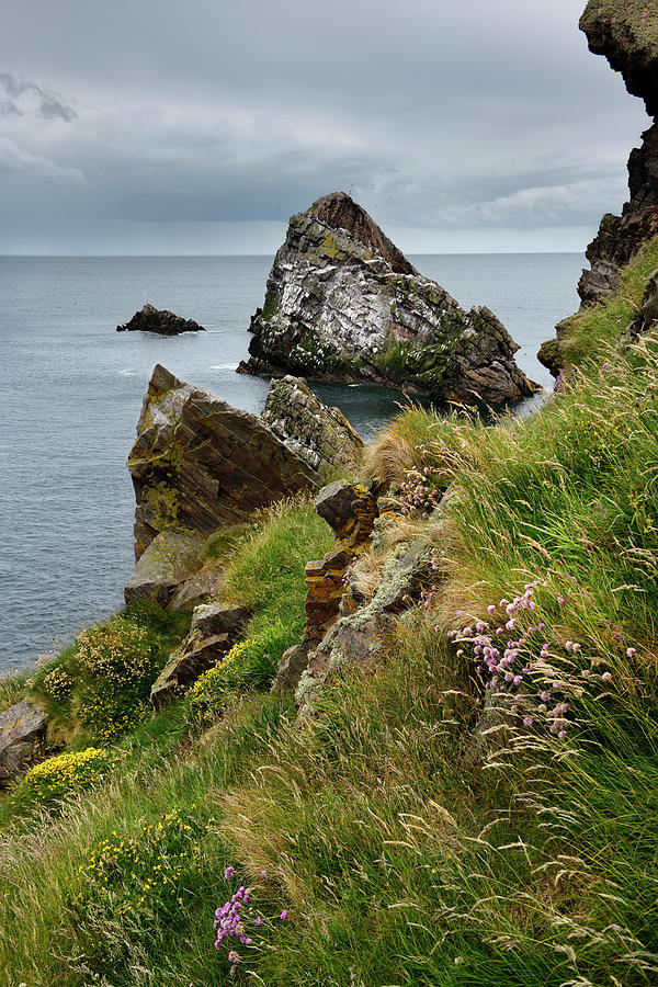 Bow Fiddle Rock quartzite sea arch at rocky cliff with grass and Photograph by Reimar Gaertner