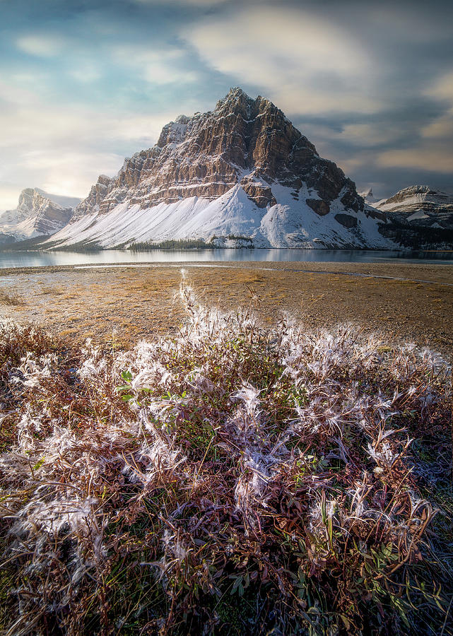 Bow Lake / Alberta, Canada by Nicholas Parker Bow Lake / Alberta, Canada by Nicholas Parker