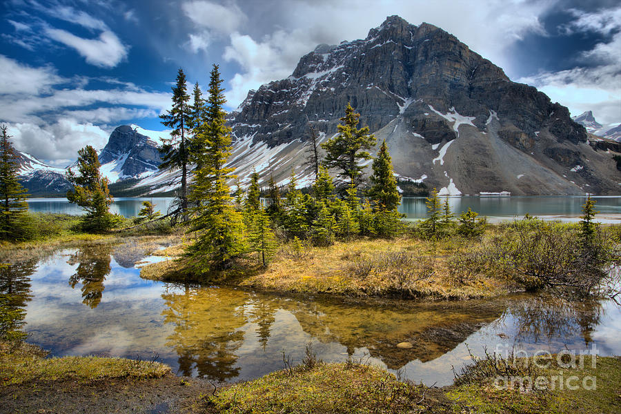Bow Lake Stream Reflections Photograph by Adam Jewell
