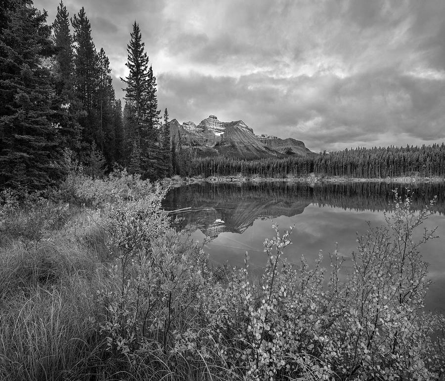Bow Range At Herbert Lake In Banff Photograph by Tim Fitzharris