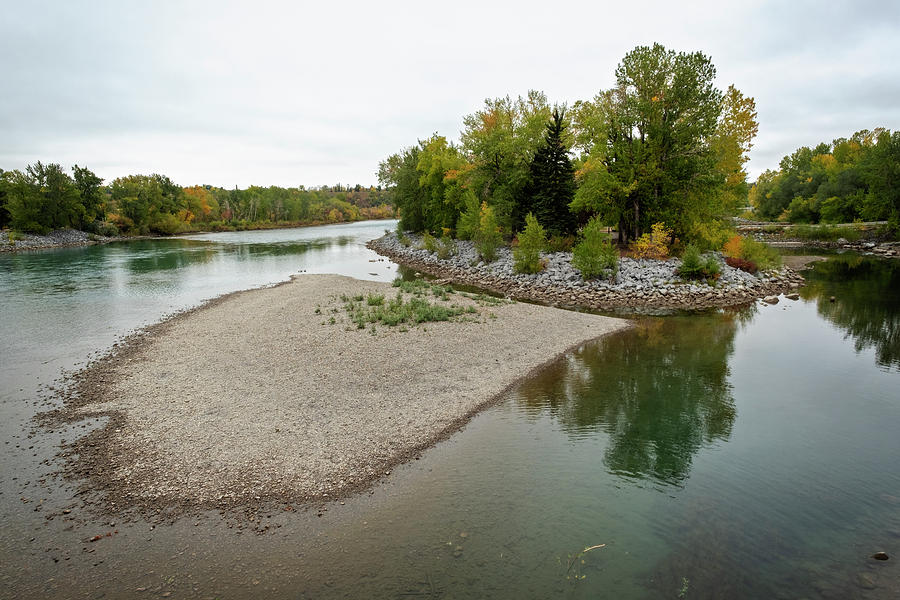 Bow River in Princes Island Park Photograph by Catherine Reading