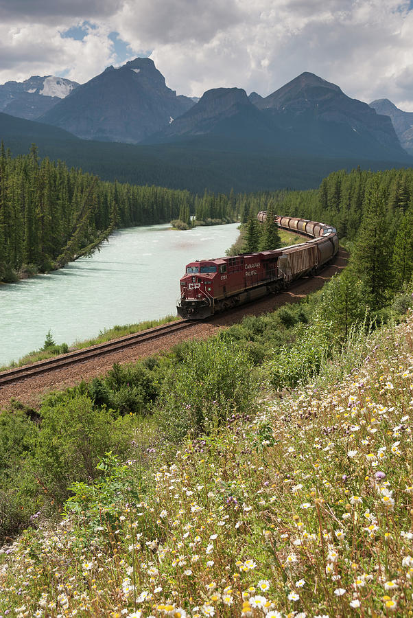 Bow River Valley, Canadian Pacific Photograph by John Elk Iii