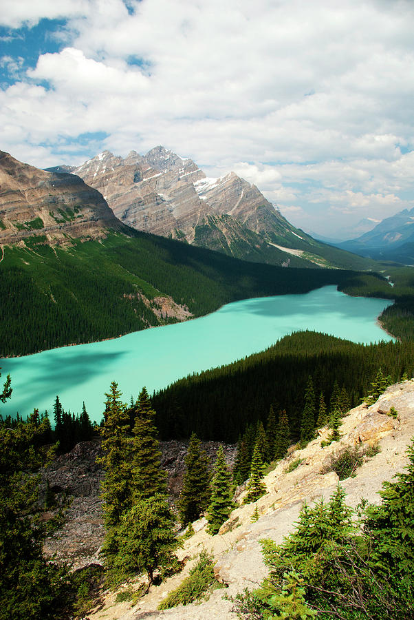 Bow Summit, Peyto Lake Photograph by Emily Riddell