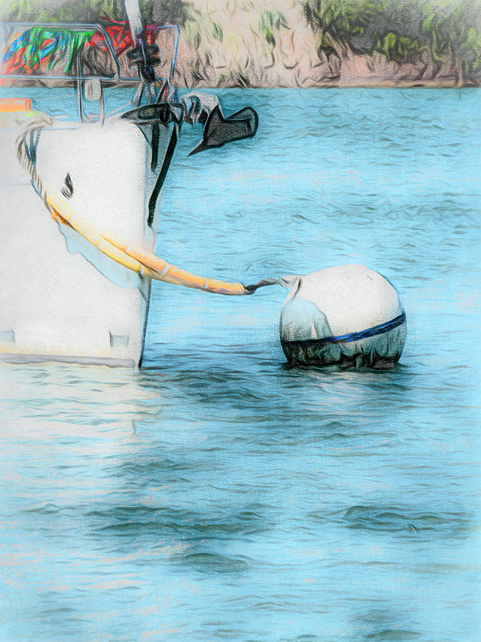Bow To Anchor Buoy  Photograph by Leslie Montgomery