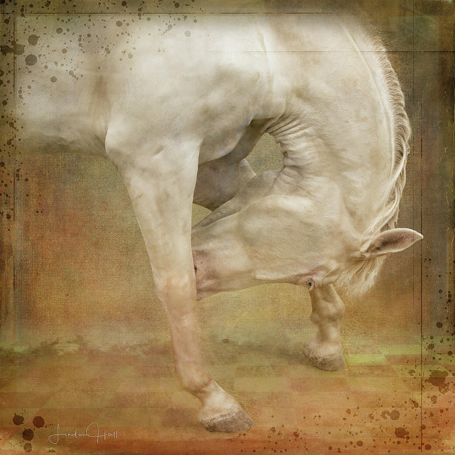 Horse Digital Art - Bowing Down Like a Gentleman by Linda Lee Hall