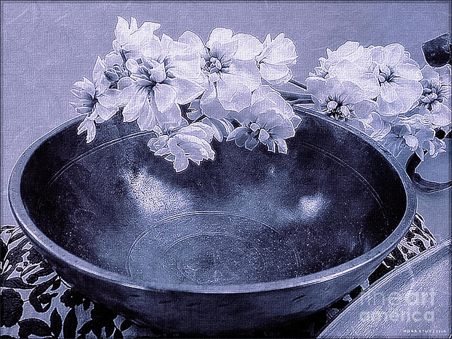 Bowl and White Matthiola Photograph by Mona Stut