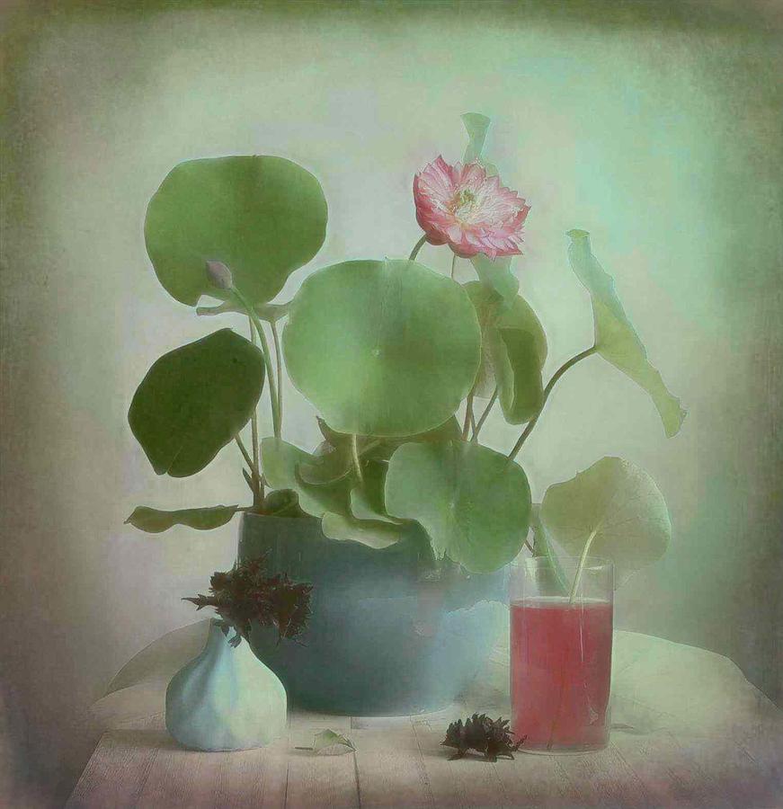 Still Life Photograph - Bowl Lotus 12 by Fangping Zhou