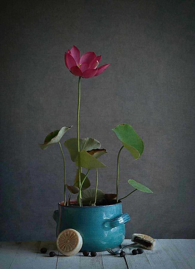 Still Life Photograph - Bowl Lotus 8 by Fangping Zhou
