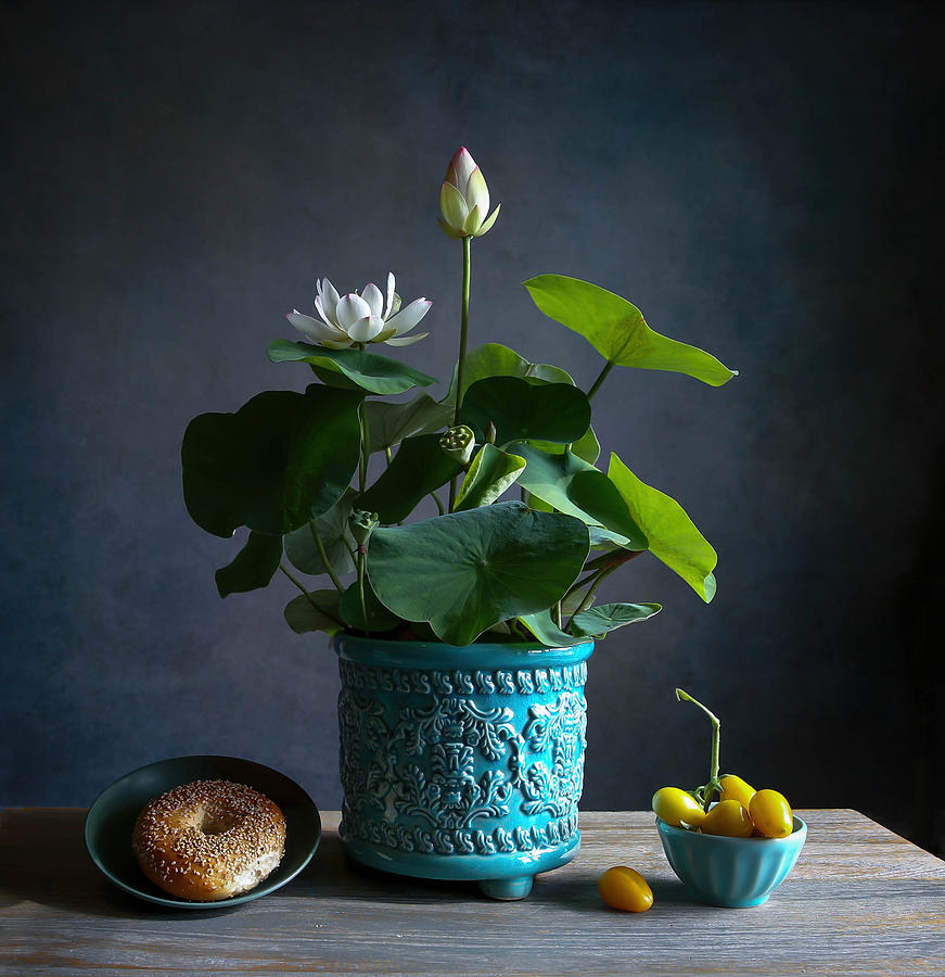 Bowl Lotus IIi Photograph by Fangping Zhou