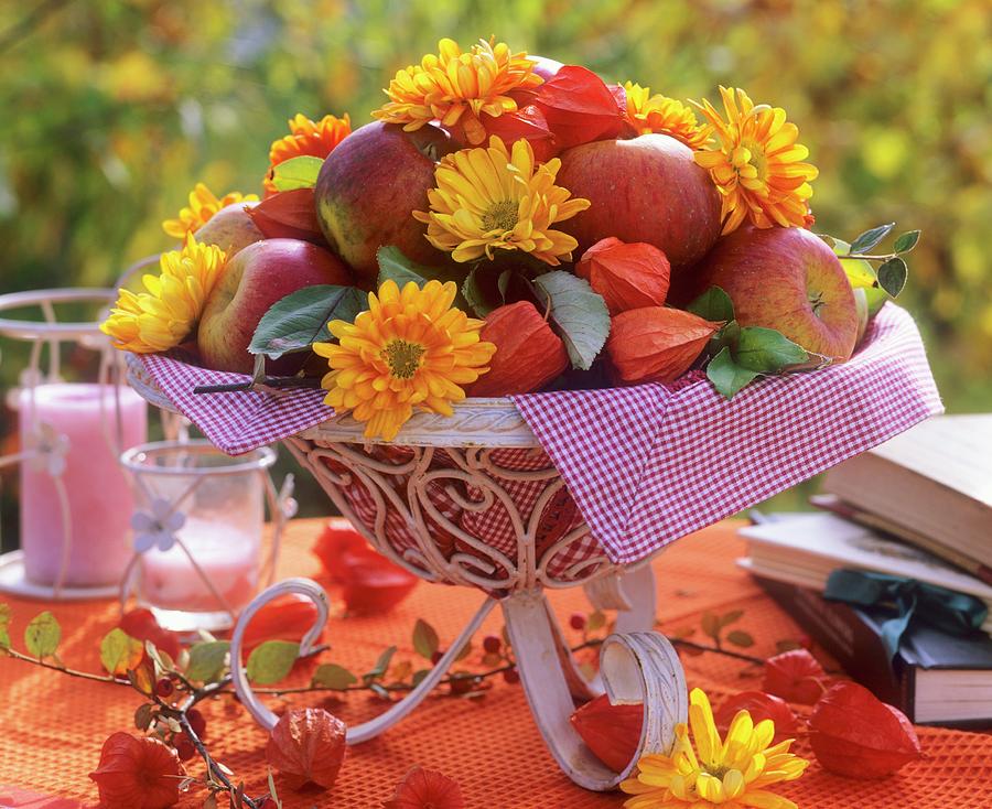 Bowl Of Apples, Chrysanthemums And Chinese Lanterns Photograph by Friedrich Strauss