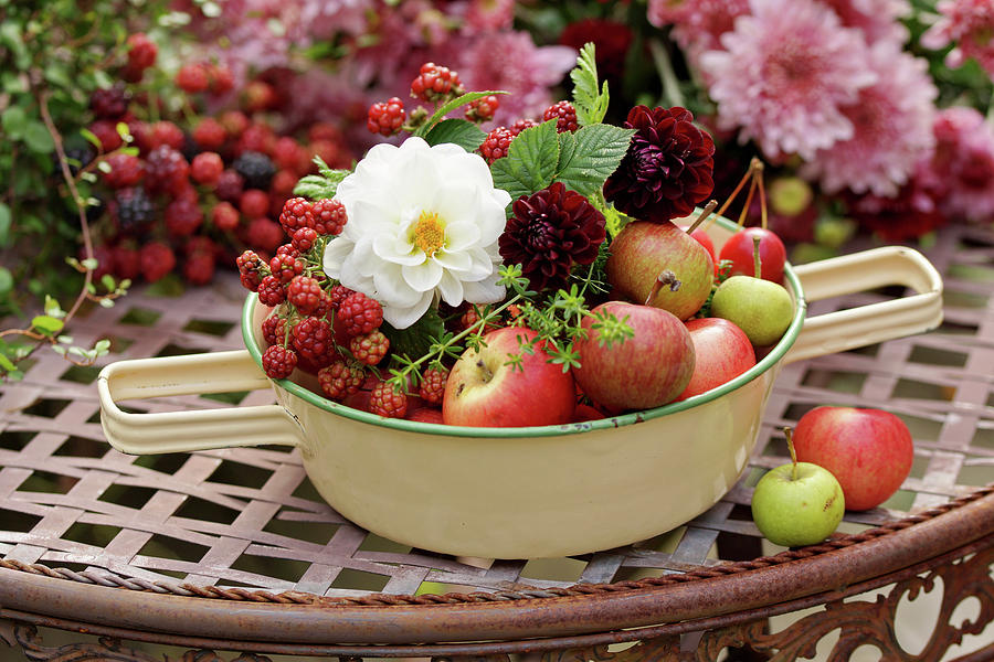 Bowl Of Apples, Dahlias And Unripe Blackberries Photograph by Angelica Linnhoff