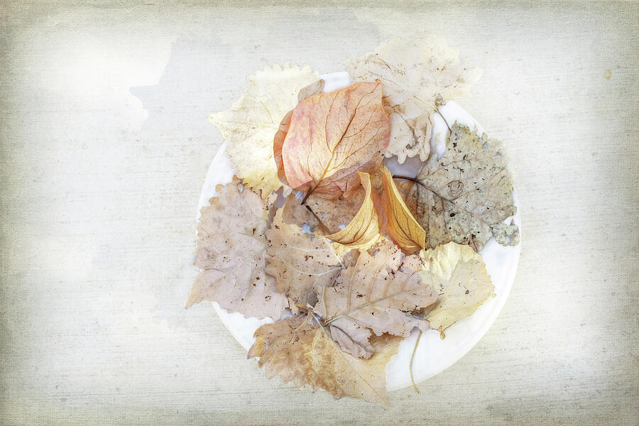 Still Life Digital Art - Bowl of Autumn by Terry Davis
