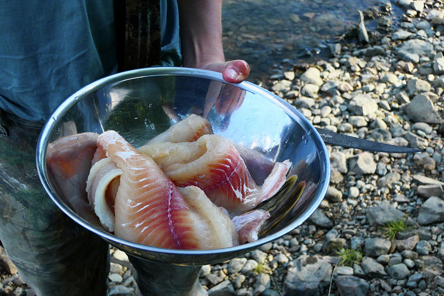 Bowl Of Fish Caught Fresh From The Yukon River, Ready To Grill, Yukon, Canada Photograph by Myriam Brunner