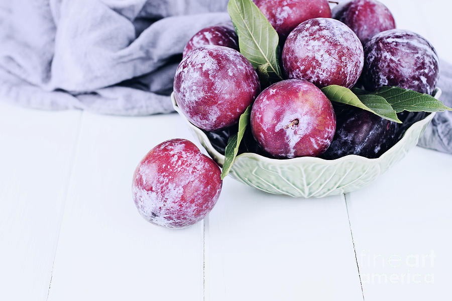 Bowl of Fresh Plums by Stephanie Frey Bowl of Fresh Plums by Stephanie Frey