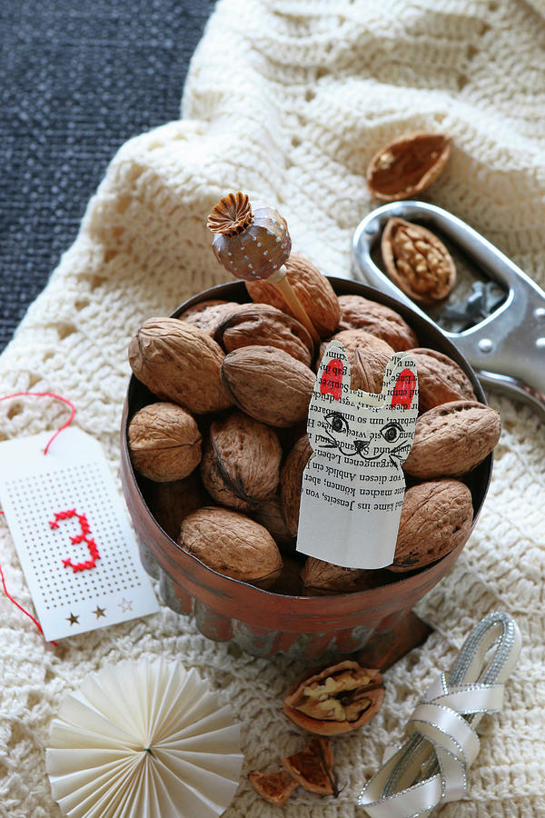 Bowl Of Nuts And Paper Cat On Woollen Blanket Photograph by Regina Hippel