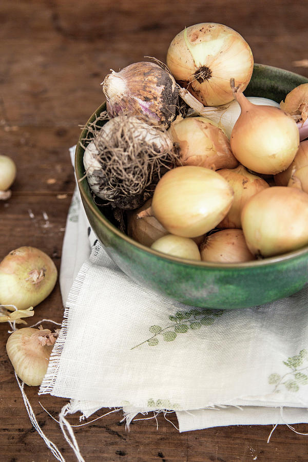 Bowl Of Onions And Garlic On Printed Cloth Photograph by Syl Loves