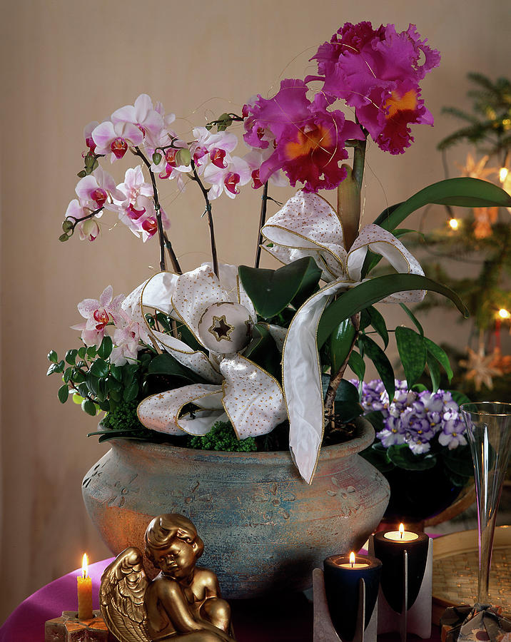 Bowl Of Orchids Photograph by Friedrich Strauss