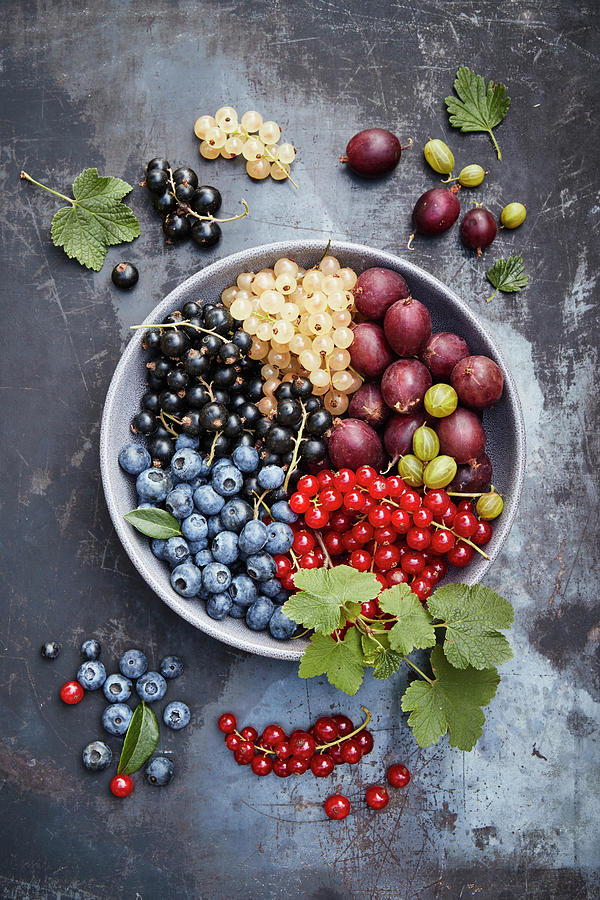 Bowl Of Various Fresh Berries On A Gray Background Photograph by Brigitte Sporrer