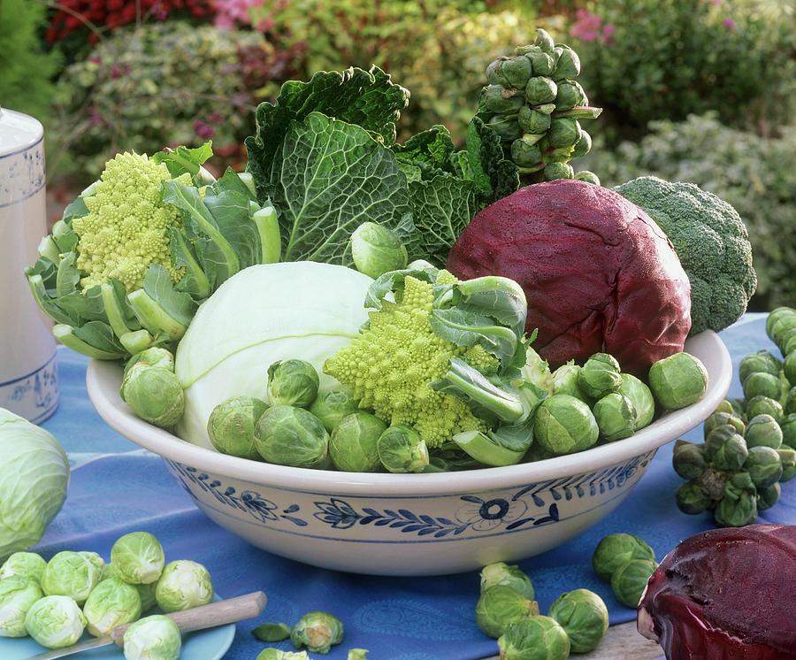 Bowl Of Various Types Of Brassicas Out Of Doors Photograph by Strauss, Friedrich