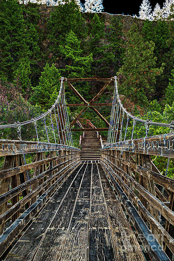 Bowl Pitch Suspension Bridge Photograph by Louise Magno
