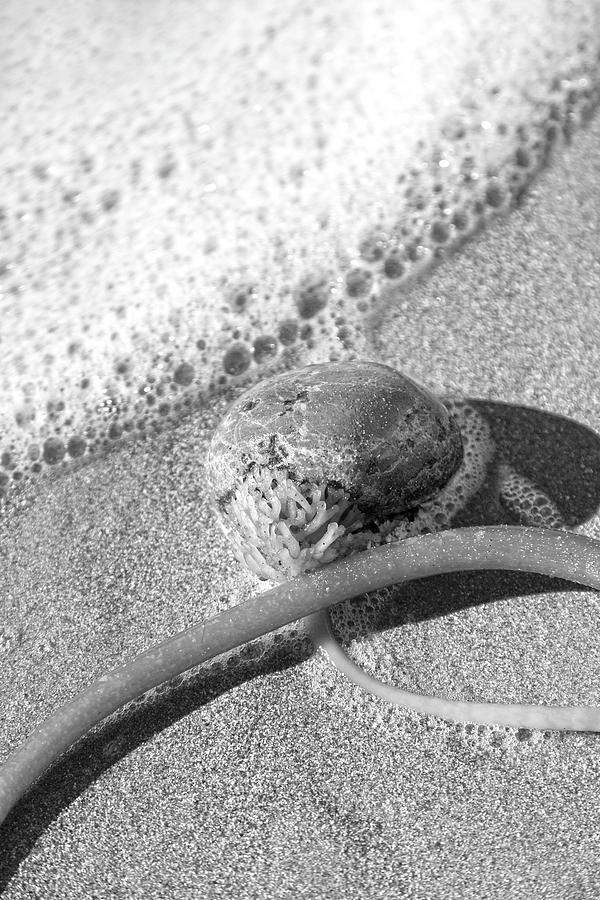 Nature Photograph - Bowling Ball Beach California Sand Story by Betsy Knapp