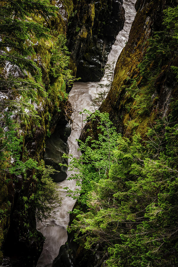 Box Canyon cowlitz River 1 Photograph by Mike Penney - Fine Art America