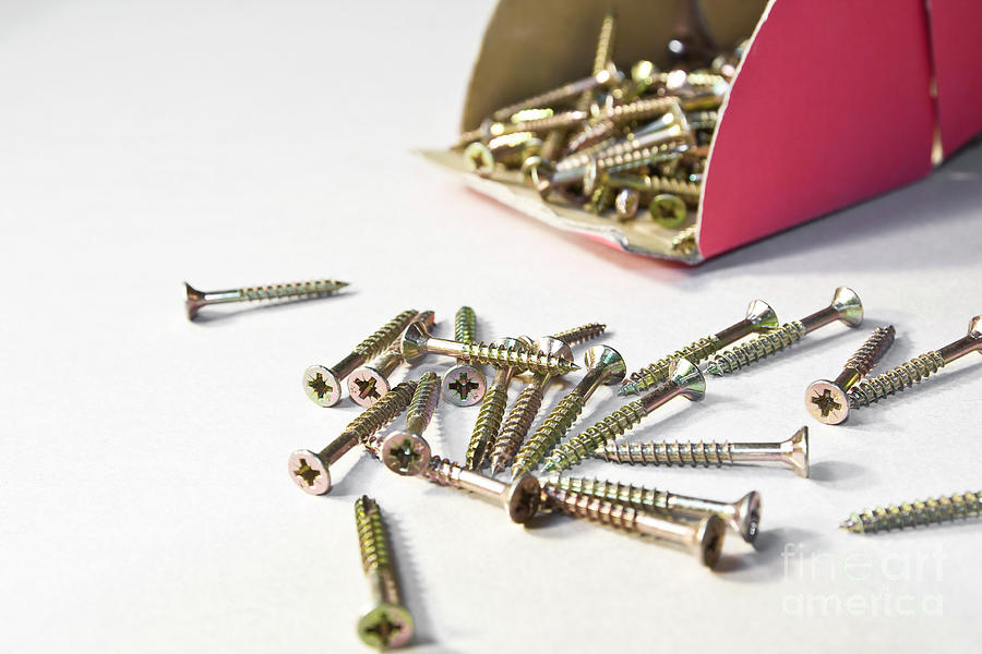 Screw Photograph - Box of screws by Gregory DUBUS