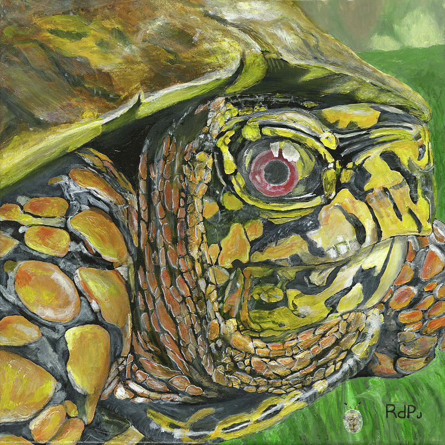 Box Turtle Painting by Rick Parker - Fine Art America