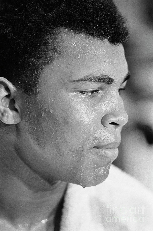 Boxer Cassius Clay Photograph By Bettmann