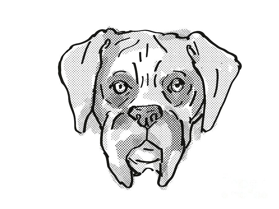 boxer dog drawing