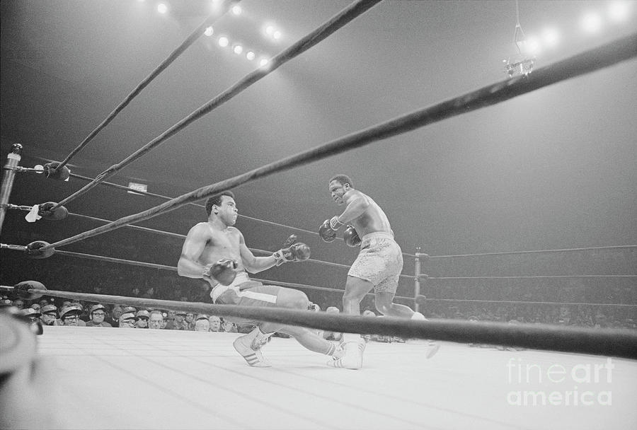 Boxer Joe Frazier Knocking Out Mohammad Photograph by Bettmann Boxer Joe Frazier Knocking Out Mohammad Photograph by Bettmann