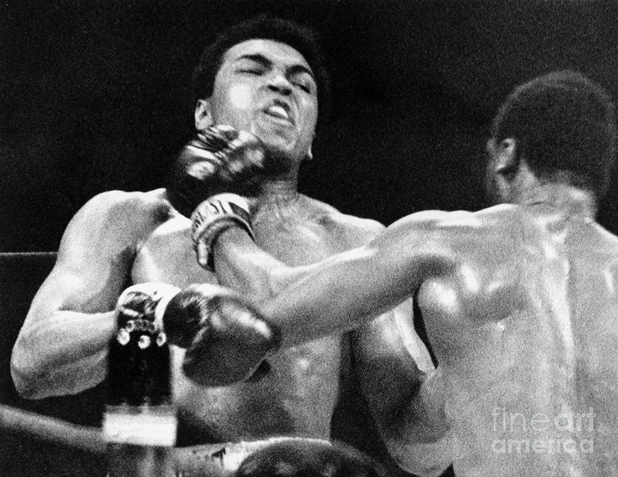 Boxer Joe Frazier Punching Muhammad Ali Photograph by Bettmann