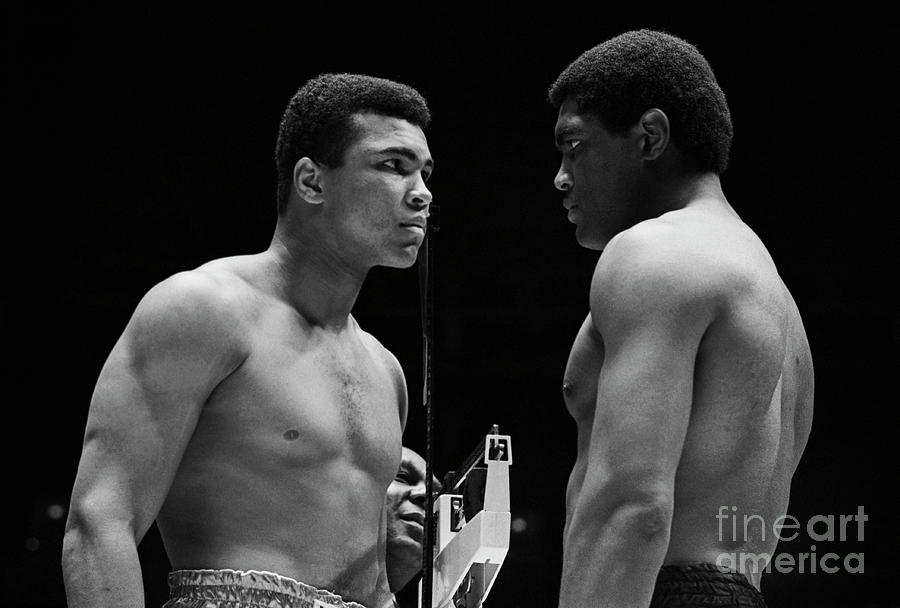 Boxers Ali And Terrell Facing One Photograph by Bettmann