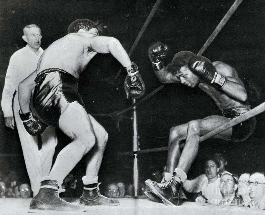 Boxers In Action Photograph by Bettmann