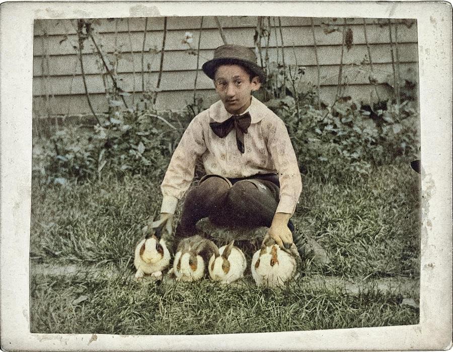 boy and bunnies colorized by Ahmet Asar Painting by Celestial Images